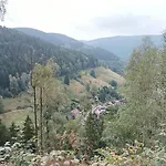 Апартаменты Tannenhuegel Residenz *