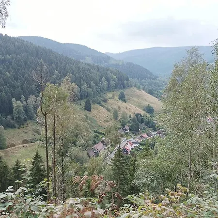 Апартаменты Tannenhuegel Residenz *