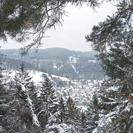 Апартаменты Tannenhuegel Residenz Лаутентхаль