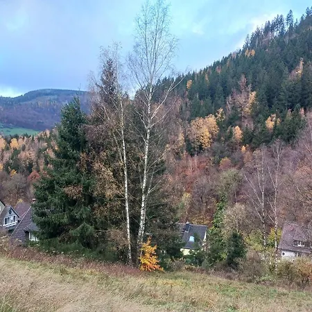 Апартаменты Tannenhuegel Residenz