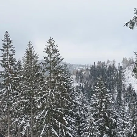 Апартаменты Tannenhuegel Residenz
