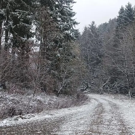 Апартаменты Tannenhuegel Residenz *