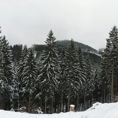 Апартаменты Tannenhuegel Residenz *