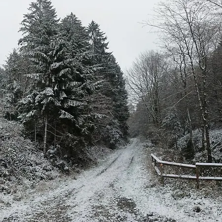 Tannenhuegel Residenz Лаутентхаль