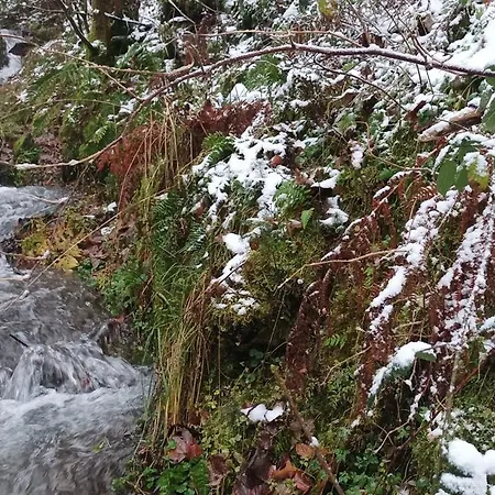 Tannenhuegel Residenz *